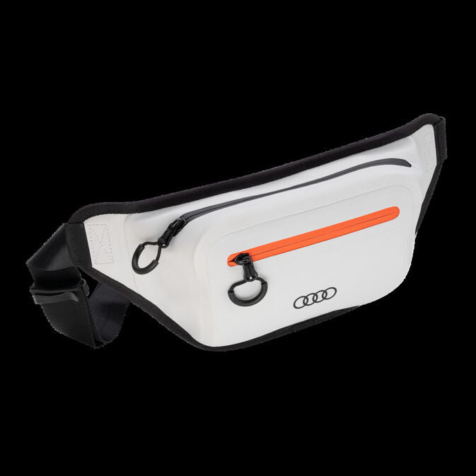 Audi ledvinka